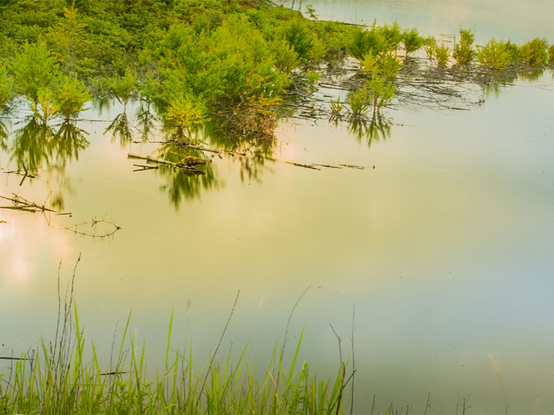 生物毒性檢測儀的測定方法