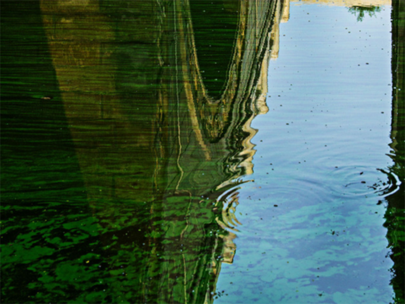 水質(zhì)氨氮超標(biāo)怎樣處理 水質(zhì)氨氮超標(biāo)怎樣處理