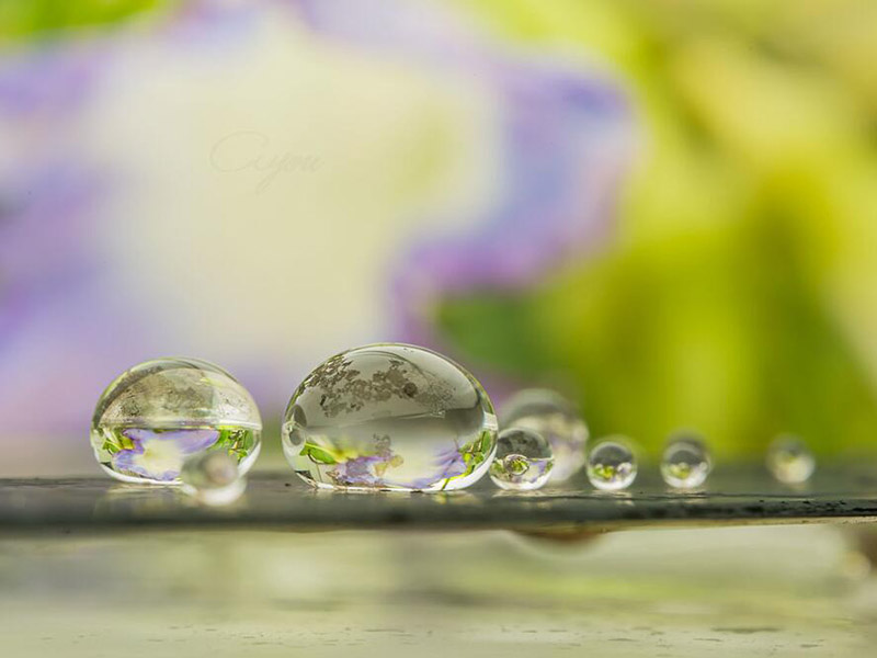 水質(zhì)測定儀主要功能