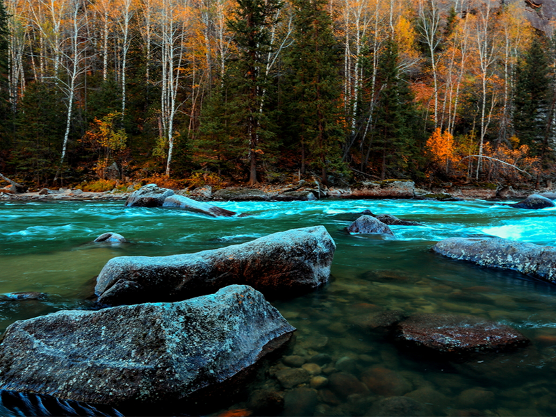紅外測(cè)油儀校準(zhǔn)步驟及頻率
