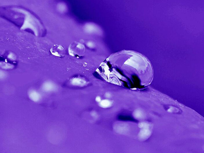 水質(zhì)在線分析儀的作用