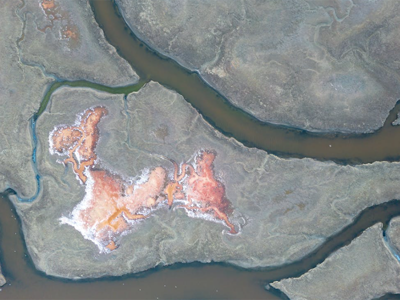 水質(zhì)亞氯酸鹽檢測儀應(yīng)用場景(水質(zhì)亞氯酸鹽檢測儀的作用)